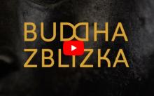 buddha up close