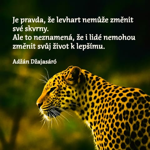 Měníme se – i když metafory tvrdí opak